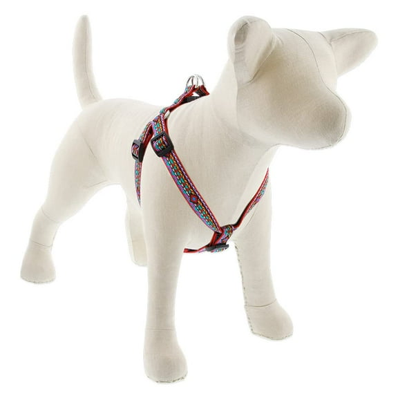 3/4in El Paso 15-21 Step In Dog Harness