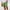 Green, variant on Ynynloco Men's Cotton Linen Shorts 5 Inch Workout Running Shorts Lightweight Breathable Gym Athletic Shorts Casual Summer Beach Shorts with Pocket
