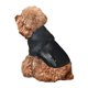 thumbnail image 5 of Balery Black And Gold White Horse Sudadera con Capucha para Perros Pequeños – Ropa para Mascotas, Disfraz para Perros y Gatos, Ideal para Fiestas y Cosplay-Large, 5 of 7