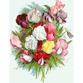 thumbnail image 1 of Taladro Pintura Diamante (DB3364) Color Flor Ronda Completa DIY Mosaico Kit Arte Con Cuentas 50x70cm Hugtrwg Para estrenar, 1 of 1