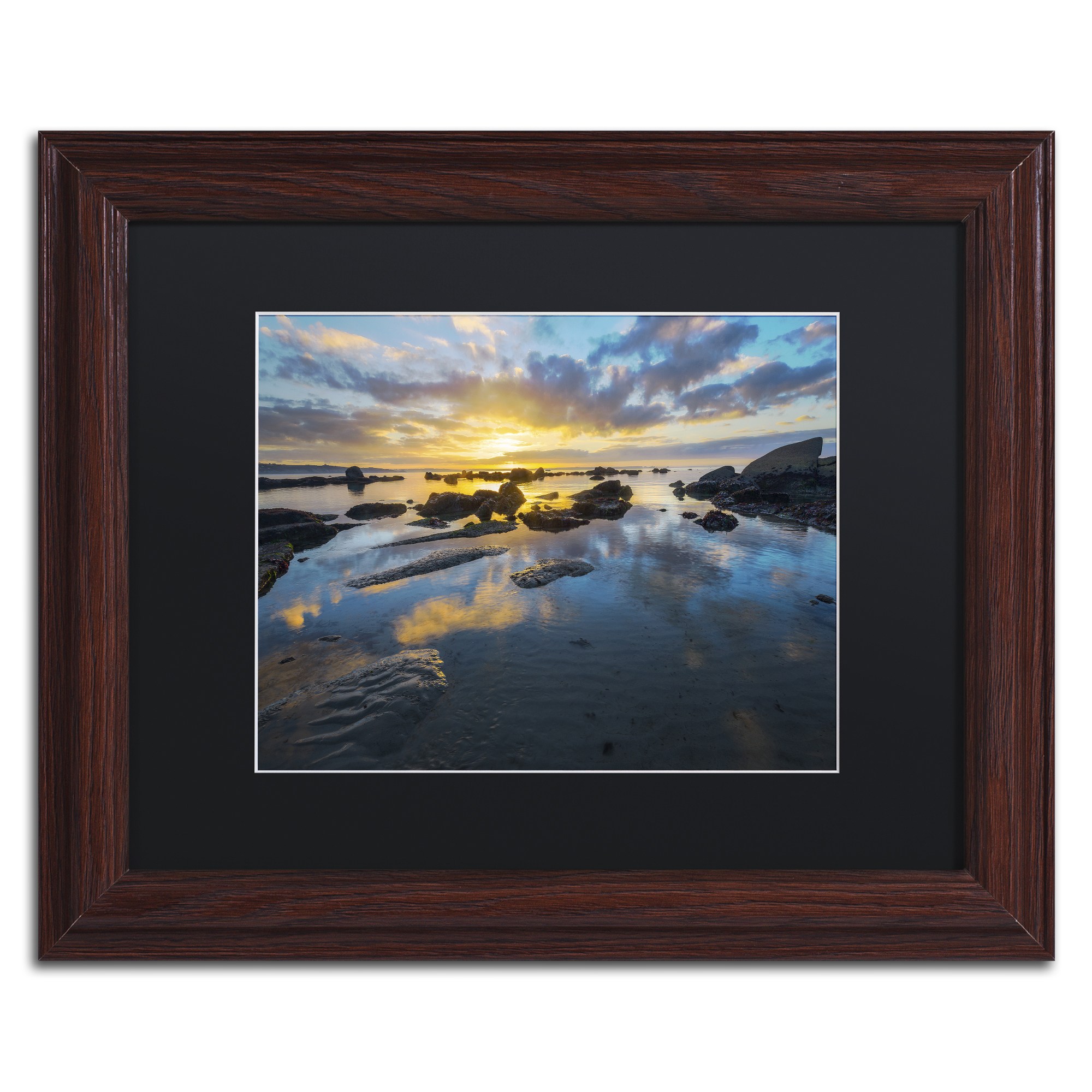 Trademark Fine Art "Nature's Gift" Canvas Art by Mathieu Rivrin, Black Matte, Wood Frame