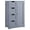 Grey, variant on AIZYT Large Bathroom Floor Cabinet with 4 Dawers and Single Door Cabinet, Freestanding Storage Cabinet for Living Room Kitchen Hallway, Gray