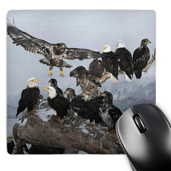 3dRose, Bald Eagles gathering on a log, Homer, Alaska - NA02 DNO0199 - David Northcott, MousePad