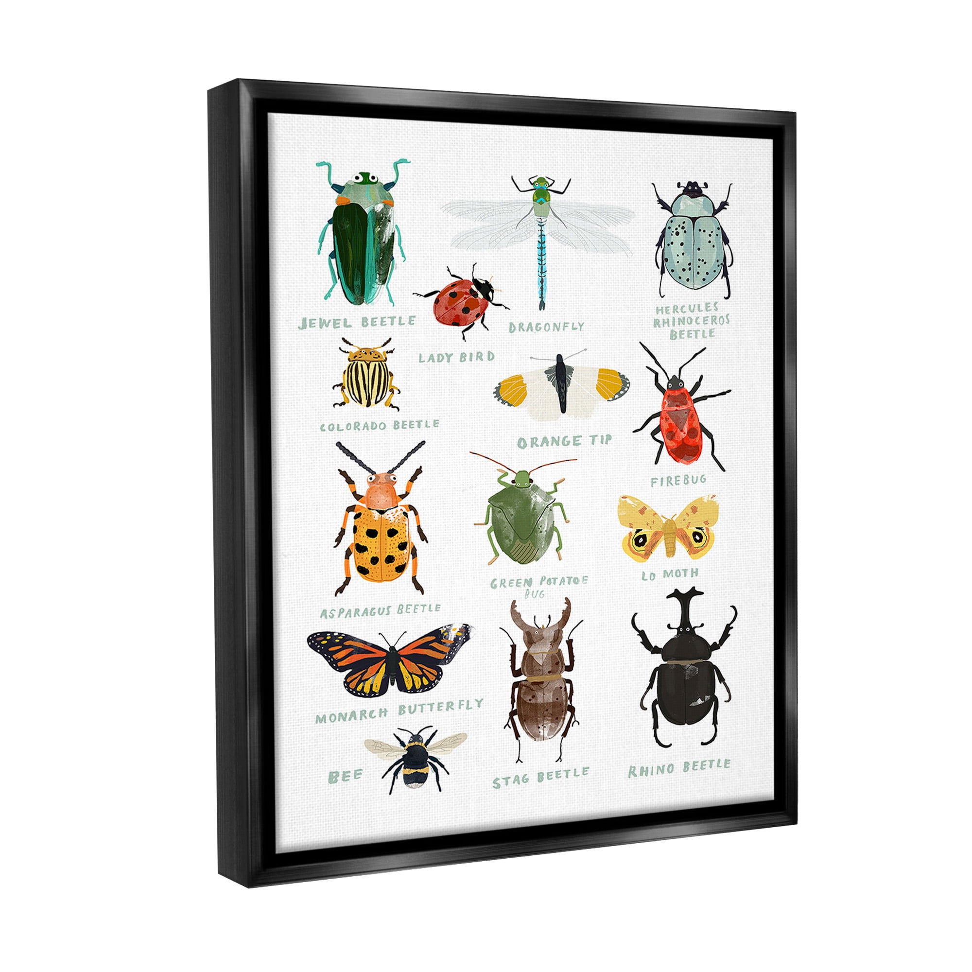 Stupell Industries Educational Bug Types Animals & Insects Painting Black Floater Framed Canvas Art Print Wall Art, 17 x 21