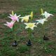 thumbnail image 5 of Lily Flower Solar Powered Lámpara led lámpara Decoración Libre Jardín Decoración Rosado Zulema Lily Ground Lights, 5 of 8