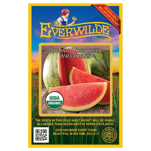 Everwilde Farms - 20 Organic Dixie Queen Watermelon Seeds - Gold Vault Jumbo Bulk Seed Packet