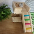 thumbnail image 3 of Mascota Hámster Ratones Ratón Juguetes De Escalera De Escalada Patio De Juegos Columpio, 3 of 8