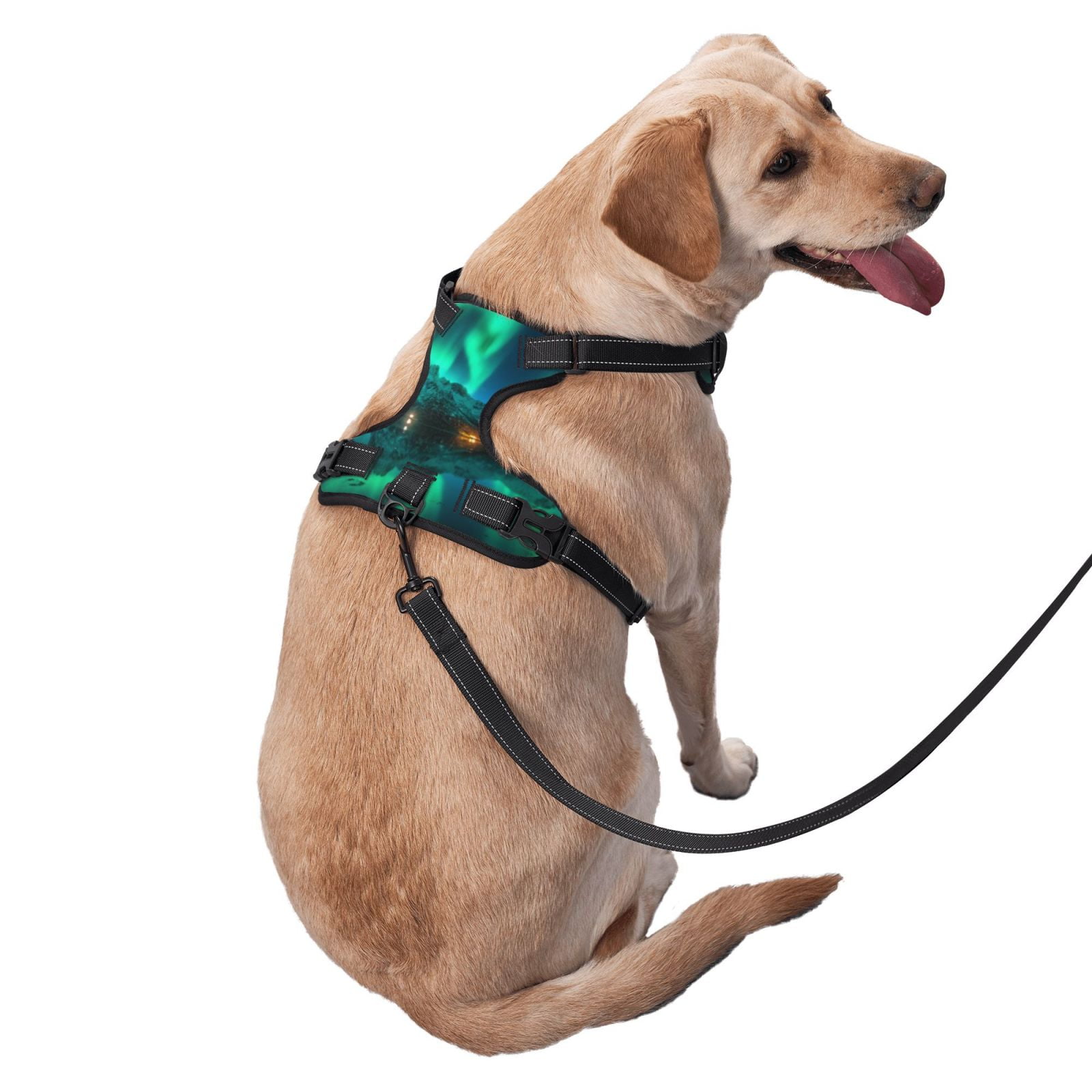Vsdgher Northern Lights Pattern Dog Harness,No Pull Pet Harness with Soft Padded Handle,Adjustable Reflective Vest with 2 Buckles,4 Slide Buckles,S-XL X-Large