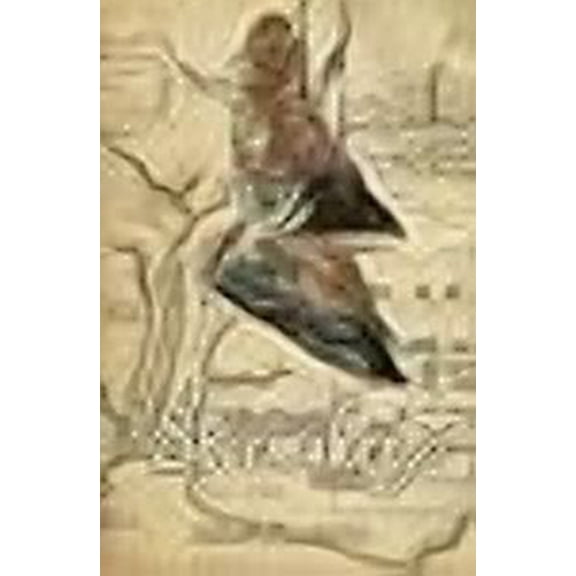 The Detroit Shoemaker (Paperback)