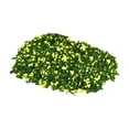 thumbnail image 3 of 30G Hoja en miniatura DIY para modelo Ferrocarril Accesorios de muñecas Jardín de hadas verde Zulema hojas de micro paisaje, 3 of 8