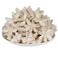thumbnail image 4 of Vickerman Natural Botanicals 2"-3" Bullet Flower Bleached 50 pcs/unit. Includes 50 pieces per unit., 4 of 4