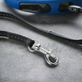 thumbnail image 4 of 10pcs Plastic Swivel Snap Hooks Stainless Steel Dog Chain Clips Small Replacement Clasp, 4 of 8