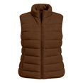 thumbnail image 6 of Women's Puffer Vest Lightweight Quilted Sleeveless Jacket Zip Up Stand Collar Winter Outwears (Brown S), 6 of 6