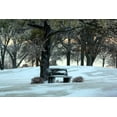 thumbnail image 2 of Putman, Tammy 14x11 Black Ornate Wood Framed with Double Matting Museum Art Print Titled - Bench III, 2 of 4