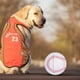 thumbnail image 4 of Pelota de platillo volador hinchable, juguete para perros de descompresión, Juguetes Divertidos para exteriores, pelota de platillo volador, pelota de lanzamiento interactiva para diversión rodante, 4 of 7