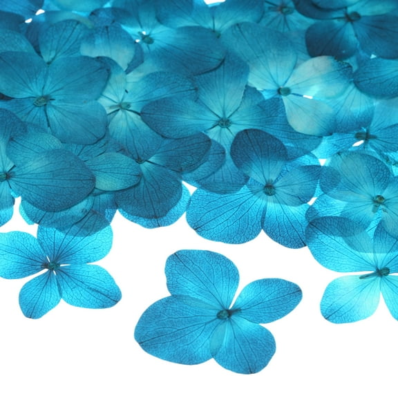 60-Pack Dried Pressed Flowers for Resin, Real Natural Bulk Dry Floral for Crafts/DIY Jewelry/Soap Making/Scrapbooking/Candle/Epoxy Resin Supplies [Light Blue]