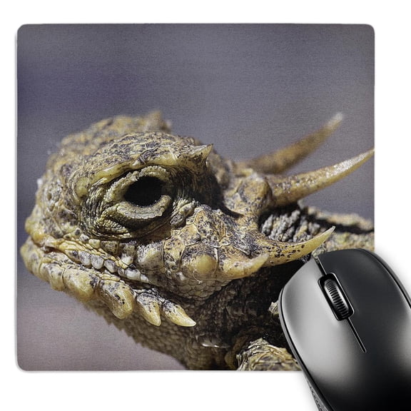3dRose, Flat-tailed Horned Lizard, Phrynosoma mcalli, MousePad