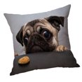 thumbnail image 3 of Funda de repuesto para almohada con de para sofá, coche, cama, accesorio para 60x60cm Gloria Funda de cojín cuadrada, 3 of 9