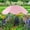 Pink, variant on PBAZIH Large Garden Parasol with Plant Stake, Outdoor Umbrella for Sunlight Shade and Rain Protection, Perfect for Potted Plants, Durable Metal Frame, Decorative Garden Canopy