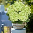 thumbnail image 4 of Briful Green Hydrangea Artificial Flower 5 Large Flower Heads Silk Faux Hydrangea Wedding Flowers Kitchen Coffee Table Home Decor Centerpieces Engagement Decoration Decor, 4 of 6