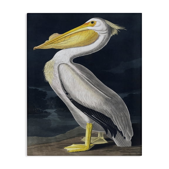 Stupell Industries Rustic Lodge Pelican on Night Shore Canvas Art, 24 x 30, by Incado