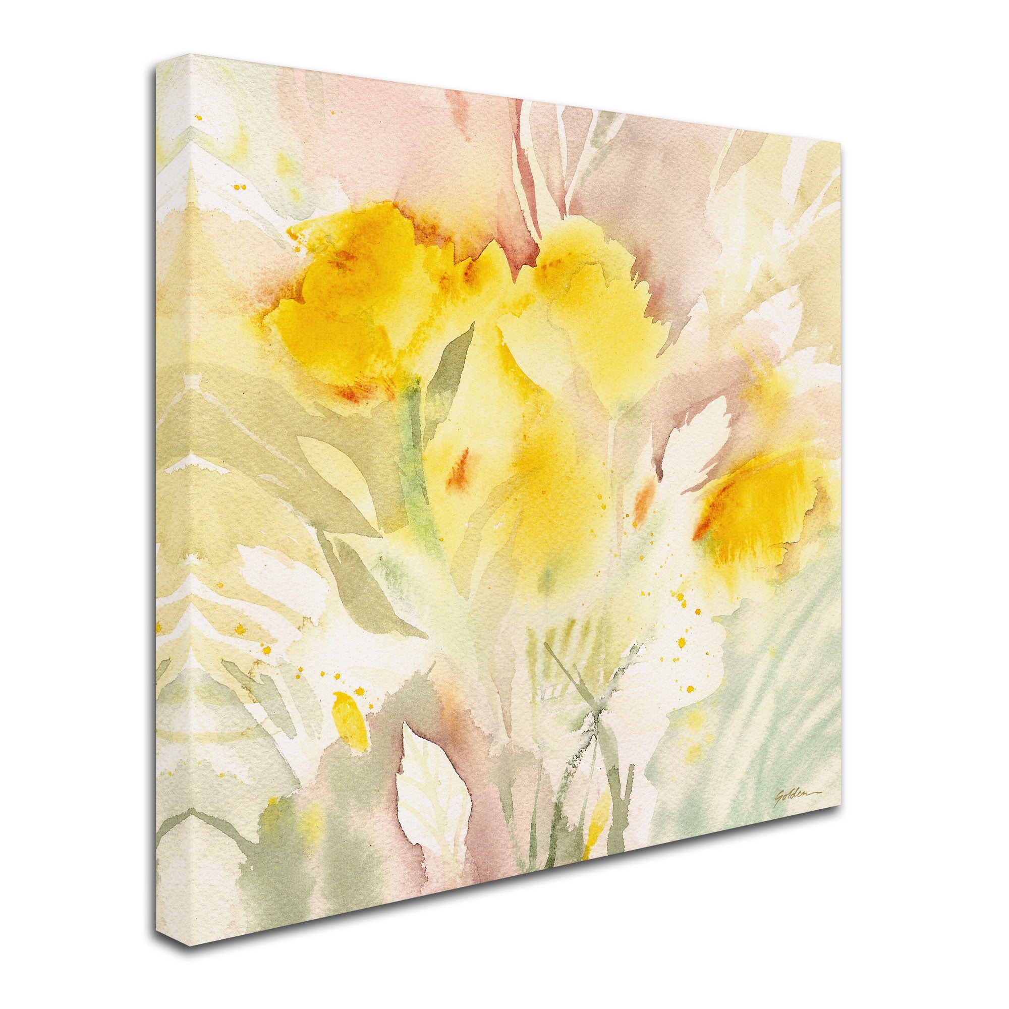 Trademark Fine Art "Wildflower Memory" Canvas Art by Sheila Golden