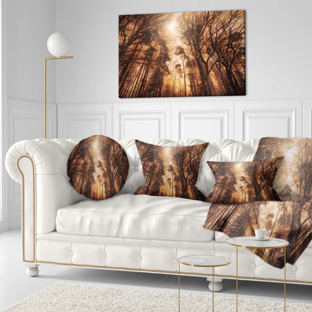 Picturesque Forêt d'Automne - Impression sur Toile Photographie de Paysage