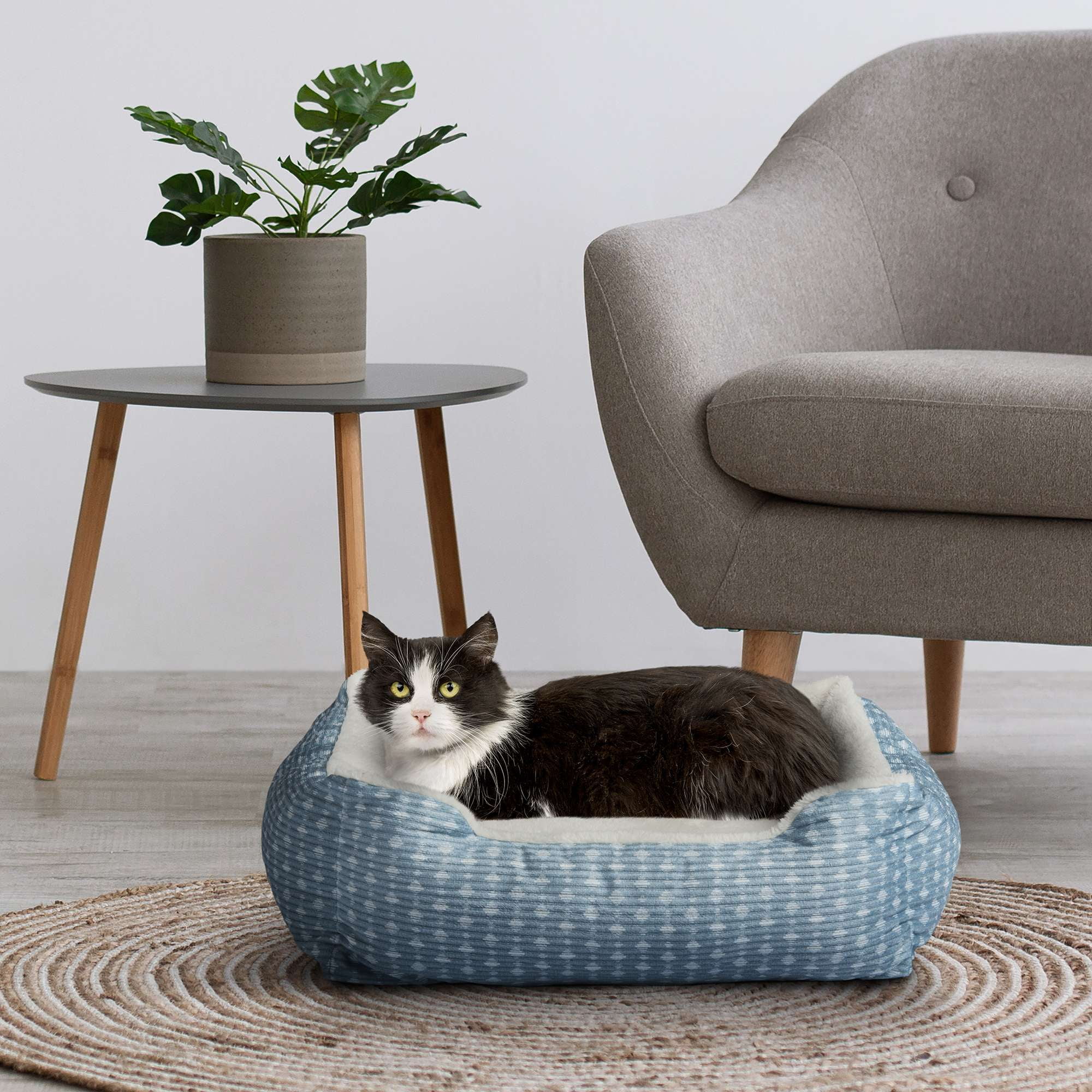 Vibrant Life Dog Bed, Cat Bed, Puppy Bed, Plush Cuddle Bed for Small Breeds, 19" x 15", Blue and White