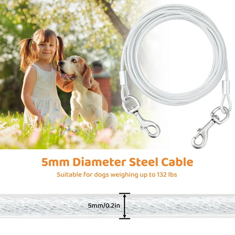 dog stake tie up dog in backyard