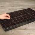 thumbnail image 2 of Plantation Products Jiffy Seed Starter Greenhouse Kit T72HST-14 - 72-Cell, Reusable, Plastic, 2 of 5