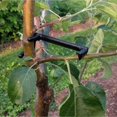 thumbnail image 4 of 10pcs Branches Trunk Moderators Plant Branches Bending Clips Branches Trainers, 4 of 4