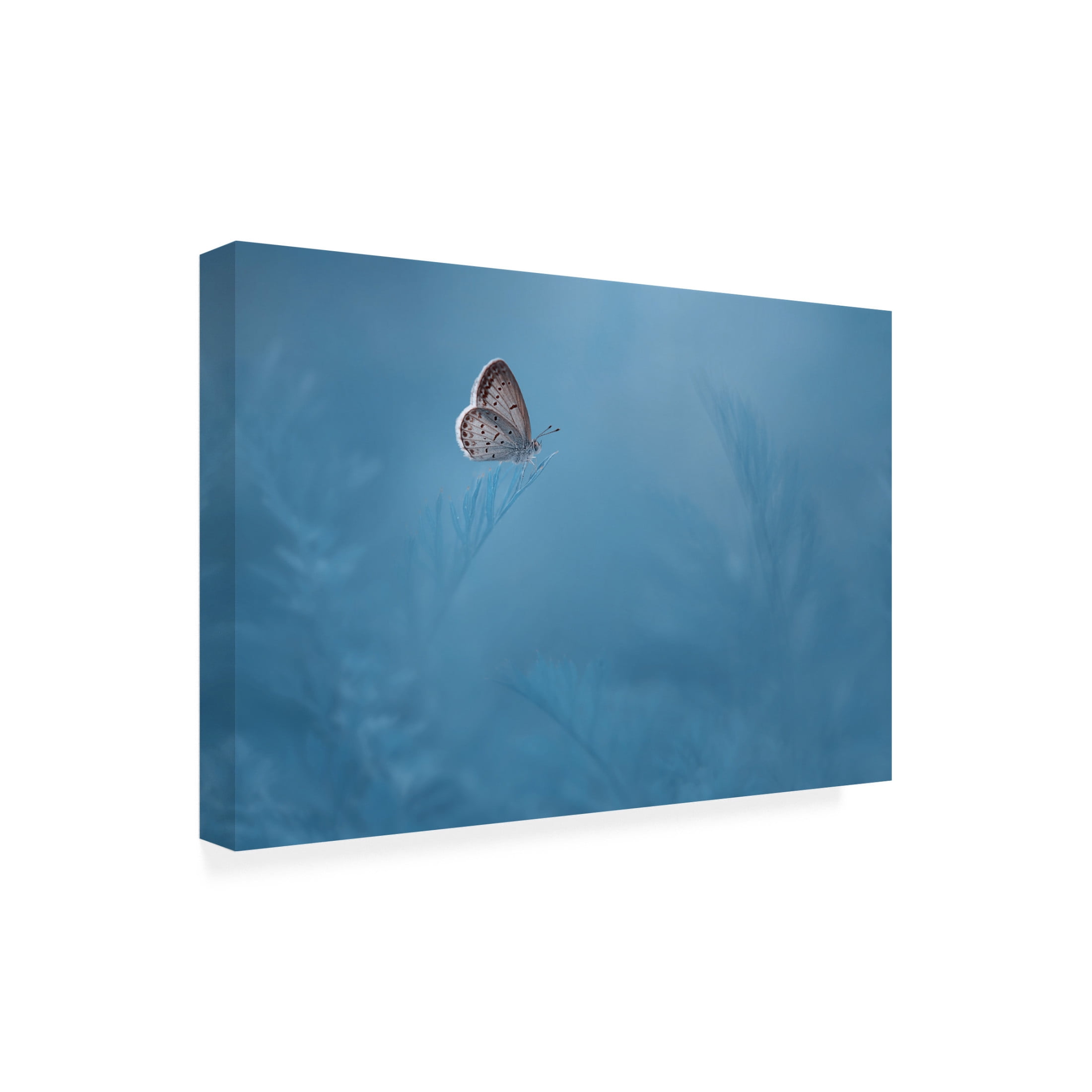 Canvas Wall Art - Edy Pamungkas 'Waiting' Wall Art for Living Room, Bedroom, or Office Décor by Trademark Fine Art - 19 x 12 Inches