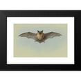 thumbnail image 2 of Archibald Thorburn 14x11 Black Modern Framed Museum Art Print Titled - Study of a Common Pipistrelle Bat, 2 of 5