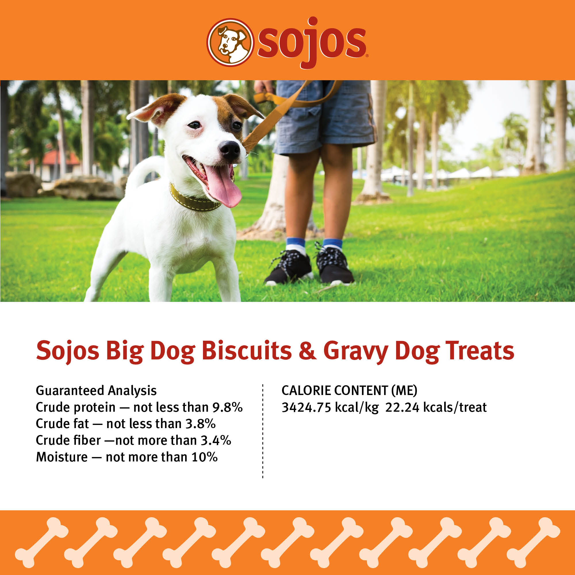 Sojos Big Dog Crunchy Natural Dog Treats, Biscuits & Gravy, 12-Ounce Box