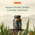 thumbnail image 3 of Gaia Herbs Turmeric Supreme Extra Strength - 616 mg Organic Turmeric Curcumin Supplement with Black Pepper - Supports Occasional Discomfort from Normal Wear & Tear* - 120 Vegan Liquid Phyto-Caps, 3 of 9