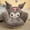 Kuromi B, variant on Sanrio Cartoon Cinnamoroll Winter Plush Half Kuromi My Melody Black Cushion Backrest Dormitory Office Non-slip Chair Cushion Toy