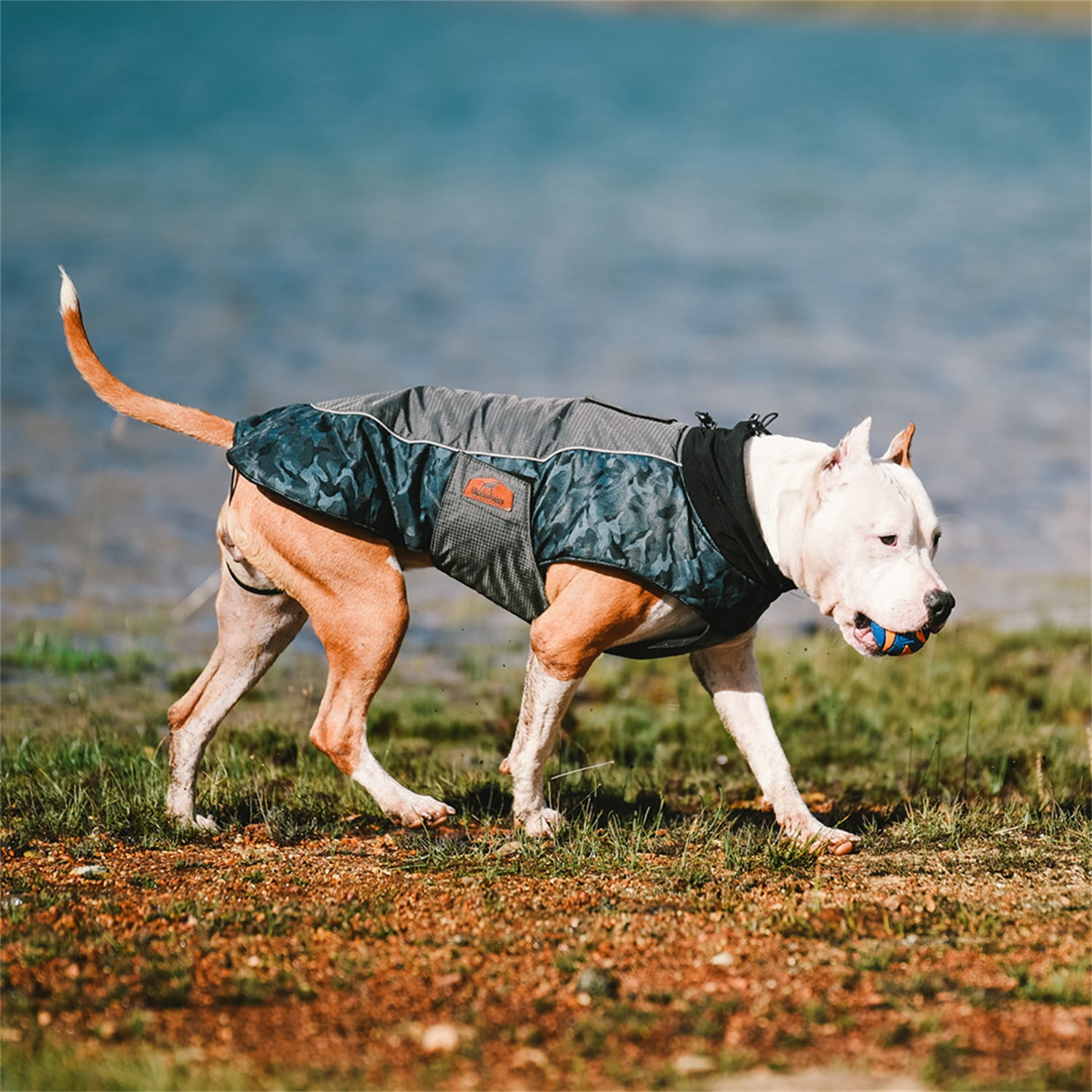 Pefilos Pet Keep Warm for Sport Vest Winter Breathable Dog Jacket for Medium Dogs Clothes Coats for Small Dogs Outdoor Waterproof Raincoat with Reflective Trim,Blue Camo M Pefilos Pet Keep Warm for Sport Vest Winter Breathable Dog Jacket for Medium Dogs Clothes Coats for Small Dogs Outdoor Waterproof Raincoat with Reflective Trim,Blue Camo M
