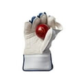 thumbnail image 3 of GM Mana 909 Wicket Keeping Gloves 2024, 3 of 4