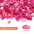 thumbnail image 2 of 1000g Conchas Trituradas Irregulares Fragmentos de Conchas Marinas para Decoración del Hogar Artesanías Proyectos de DIY Color Rosa, 2 of 5