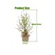 thumbnail image 2 of 1pc Easter Egg Tree, For Home Spring Summer Easter Decoration, 2 of 5