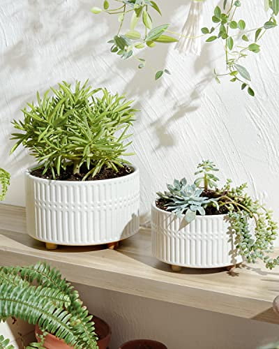 BEMAY 2-Pack 8+6.5 inch White Ceramic Succulent Pots with Drainage Holes for Indoor, Patio, and Garden Decor Plant Pots