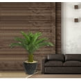 thumbnail image 2 of Artificial Real Touch Indoor Outdoor 54" Tall Cycas Palm Tree And 16" Fiberstone Planter, 2 of 3