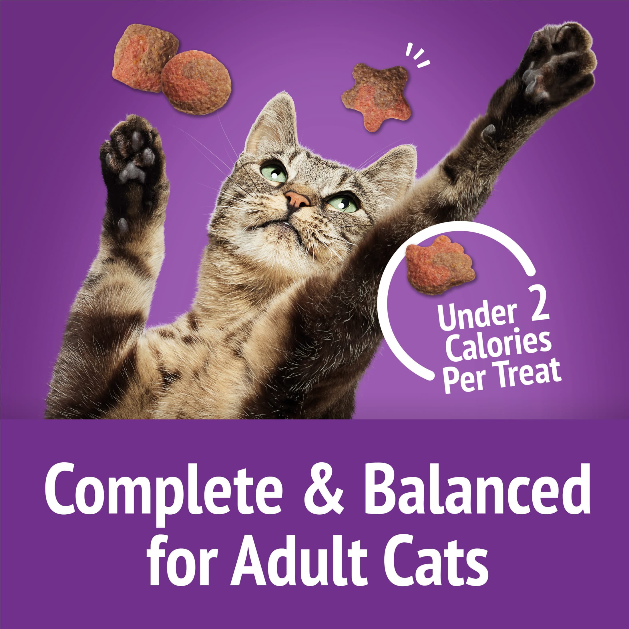 Purina Friskies Party Mix Gravy-licious, Cat Treats, Chicken & Gravy, (6) 6 oz Bags
