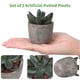 thumbnail image 3 of OUNONA Juego de 3 plantas suculentas artificiales decorativas con macetas, 3 of 7