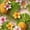 Color 2, variant on Peel and Stick Wallpaper Tropical Pineapple Pink Floral Seamless Pink 17.7in x 118in Contact Paper Removable Self Adhesive Wall Mural Wall Decor for Bedroom Kitchen Cabinets