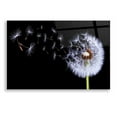 thumbnail image 1 of Epic Art 'Dandelion Flying,' Acrylic Glass Wall Art, 24"x16", 1 of 3