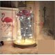 thumbnail image 2 of Beauty And The Beast Rose Enchanted Flower With Led Light In Glass Dome For Christmas Valentine's Day Mother's Day Birthday Best Gifts For Girlfriend, 2 of 3