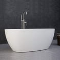 thumbnail image 6 of WoodBridge 59" Acrylic Freestanding Bathtub Contemporary Soaking Tub, Oval B-0018, 6 of 6