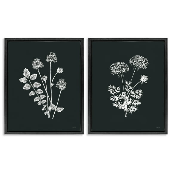 Stupell Industries Black and White Flower Cluster Plants & Flowers Painting Black Floater Framed Canvas Art Print Wall Art, 17 x 21, Set of 2