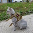 thumbnail image 2 of Tactical Cat Small Dog Collar Harness Adjustable 600D Nylon Pet Traction Kitten Escape Proof Cat Vest Cats Pet Harness Belt qym unisex, 2 of 2